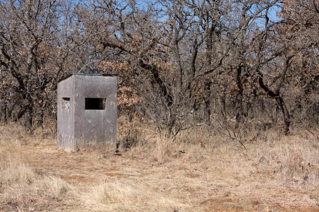 permanent deer blind