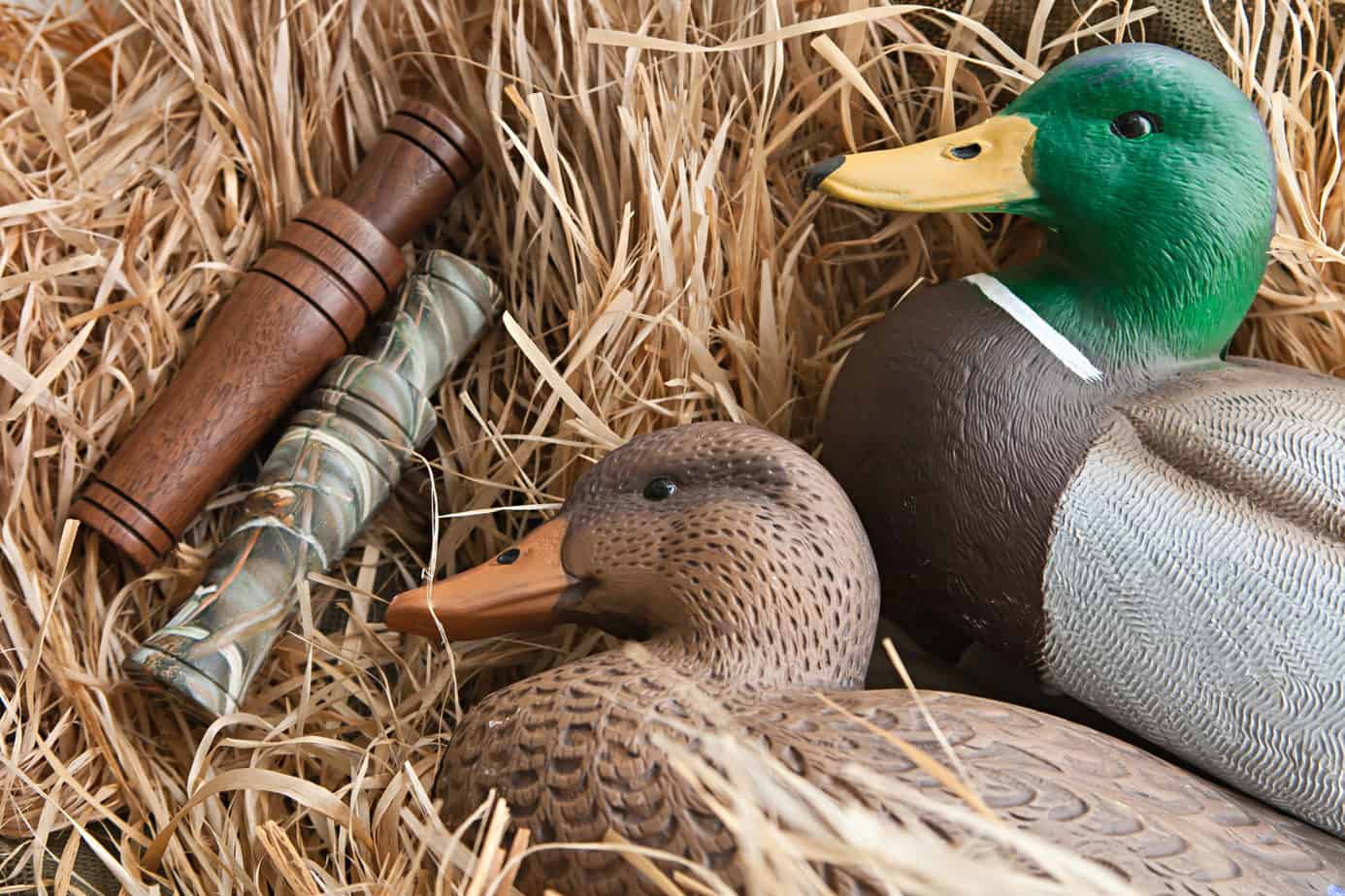 duck decoys