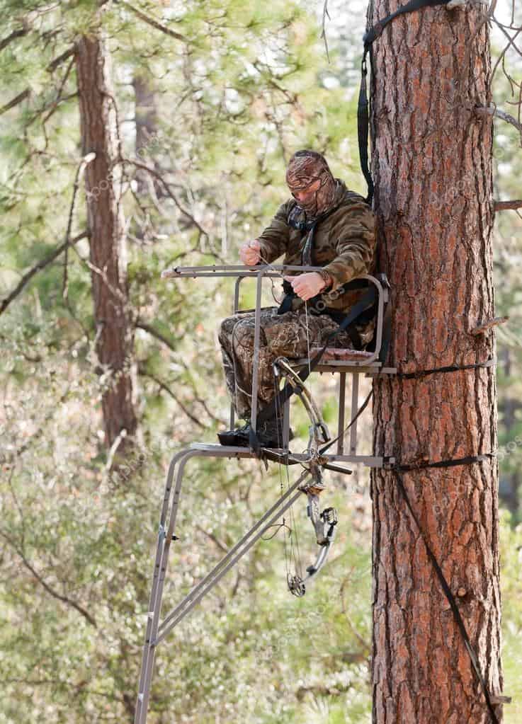 bowhunter in a tree stand