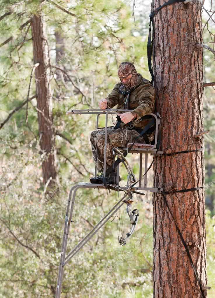 bowhunter in a tree stand
