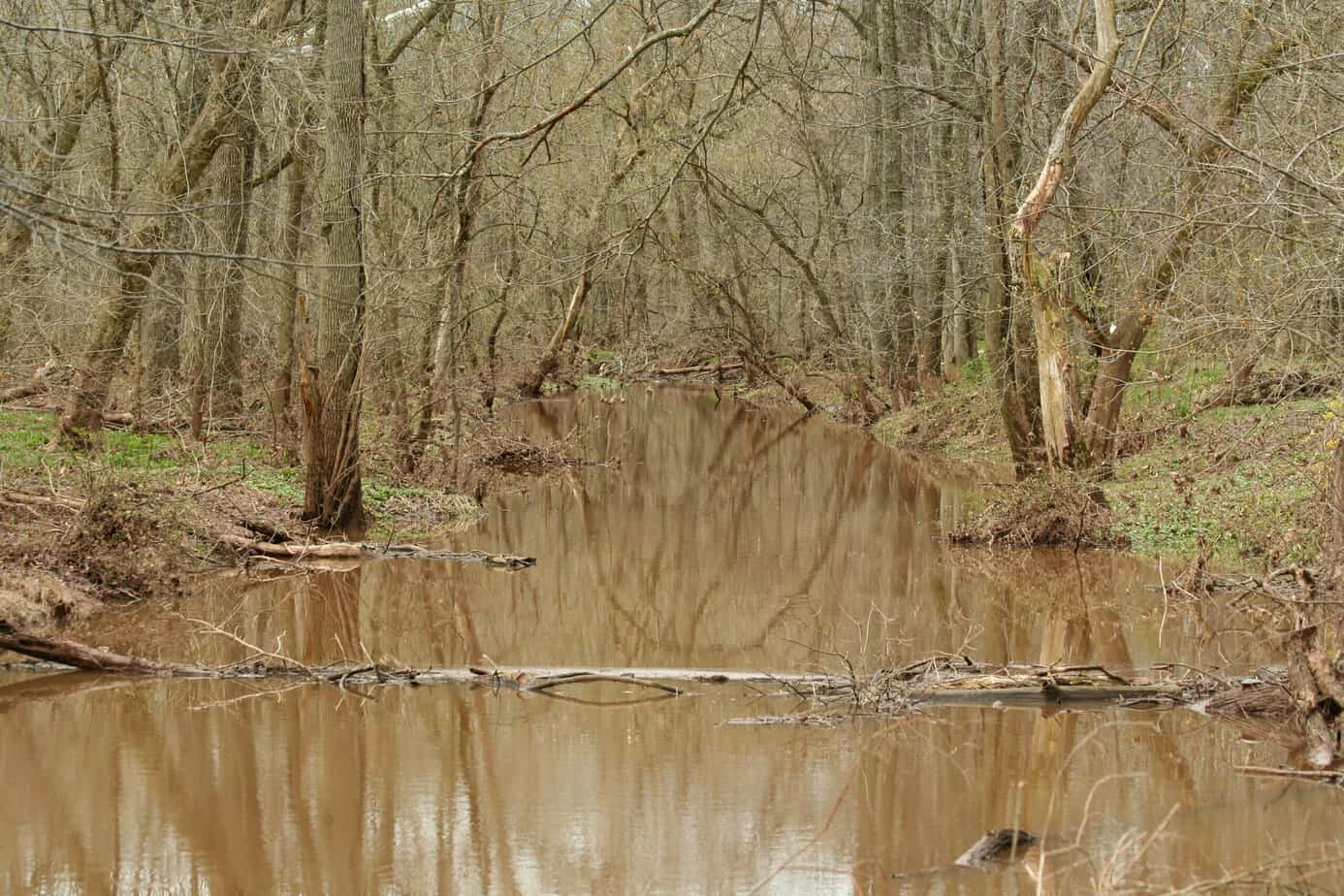 A muddy river after a storm