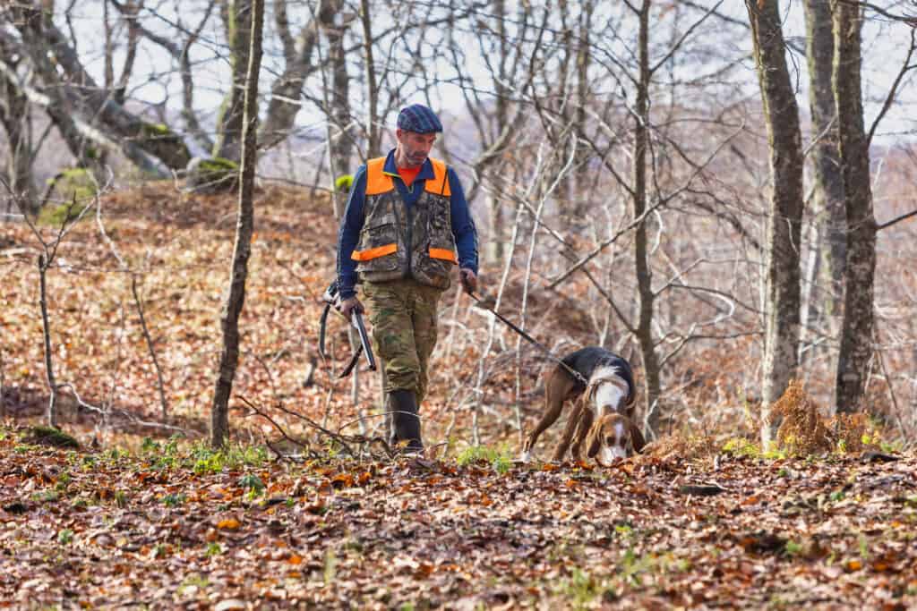 hunter with weapon and hunting dog chasing in the forest