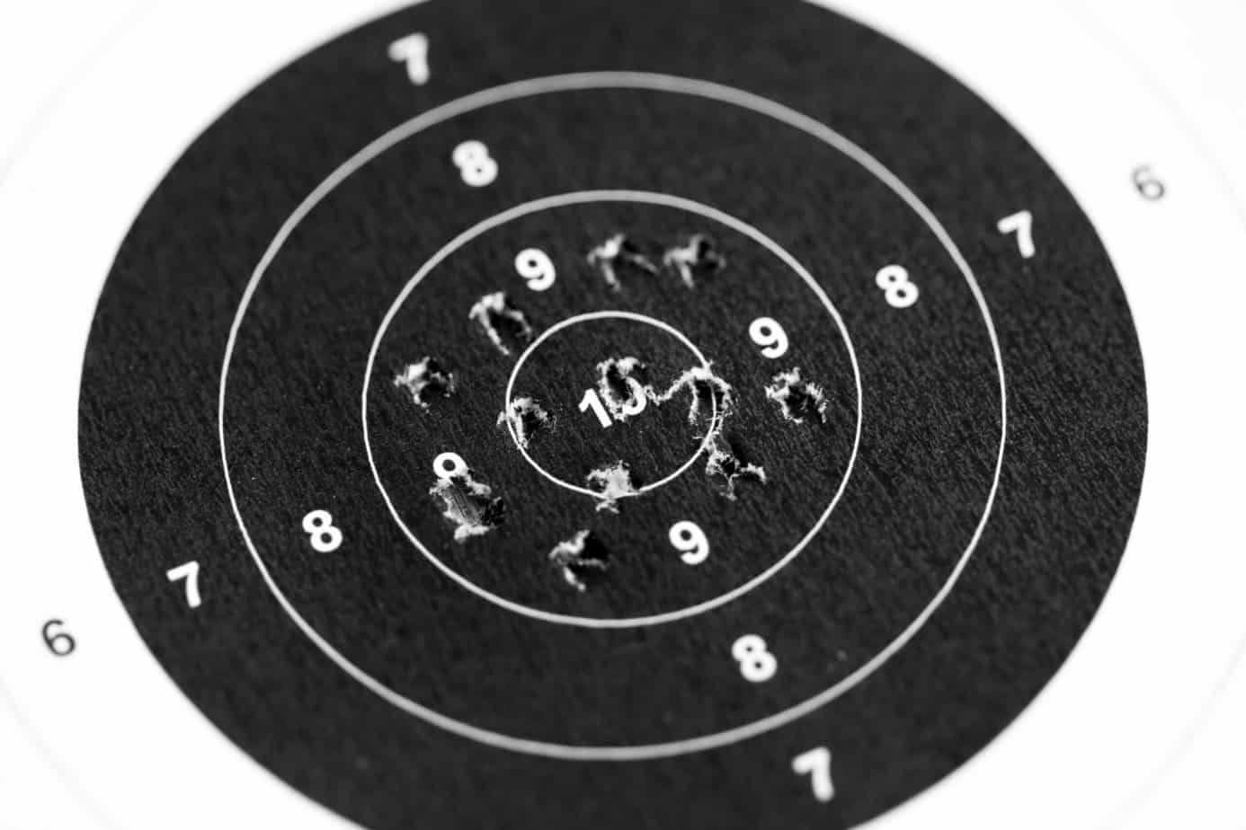 pellet gun and air rifle target